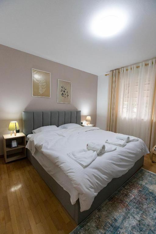 Light-2 Lovely Apartment In تيرانا المظهر الخارجي الصورة